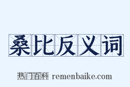 桑比反义词是什么意思的图片